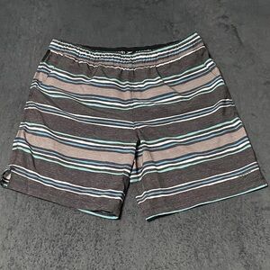 Speedo Swim Trunks Tech Volley Mens L Gray Striped UPF 50 Zipper Pocket Travel